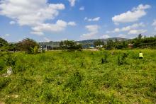 wetland in kigali