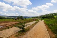 path through wetland