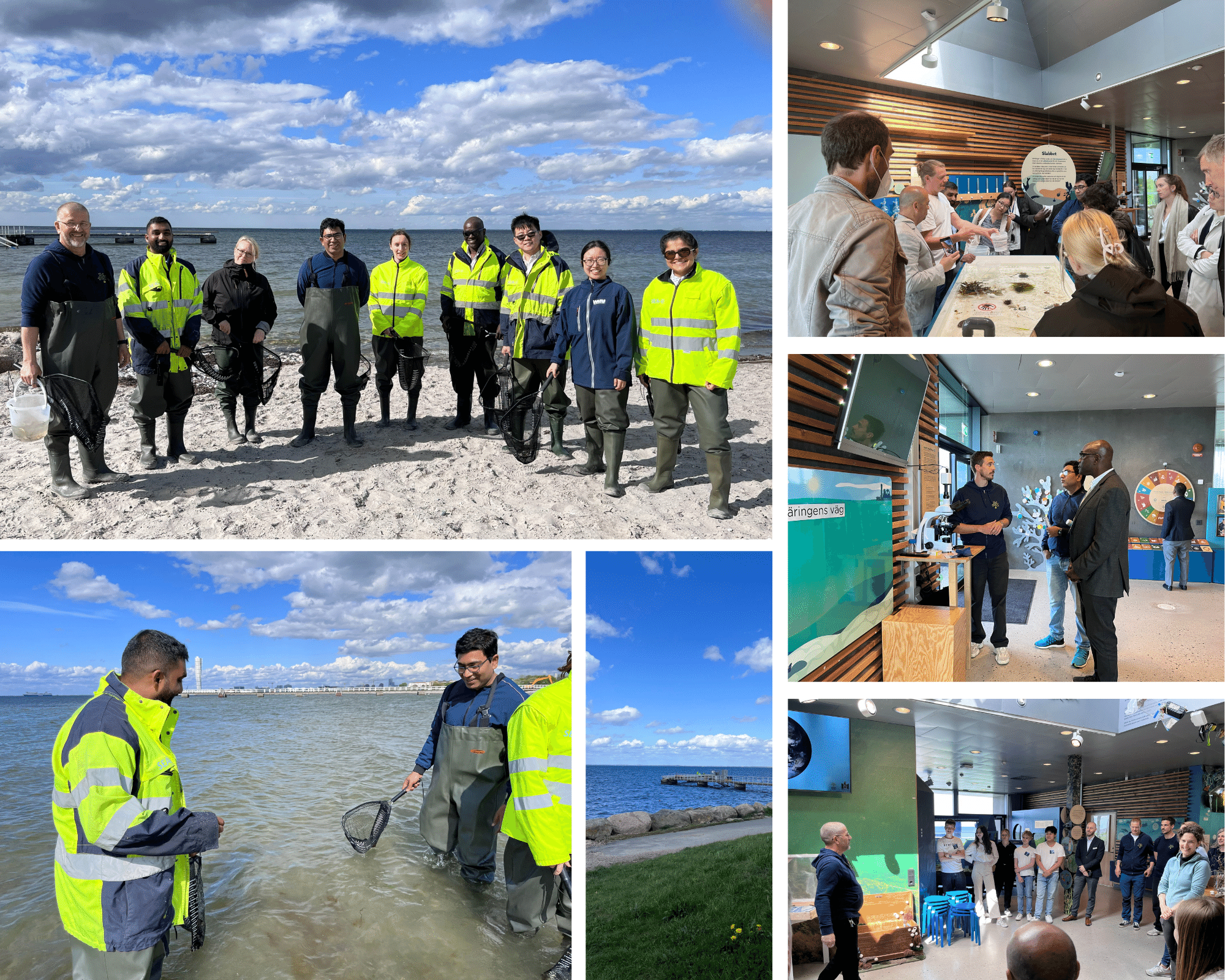 "Site visit to the Naturum Öresund centre"