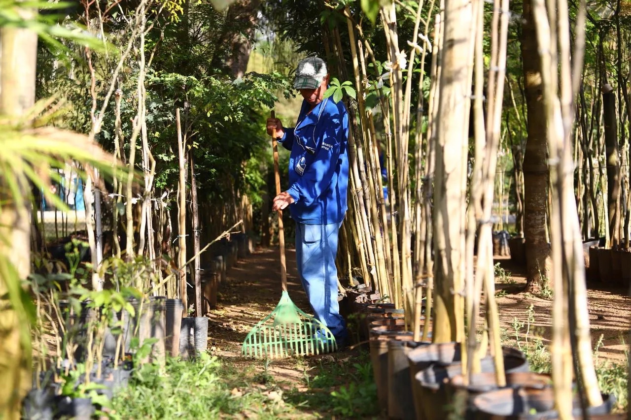 a caretaker tending to an urban forest in sao jose