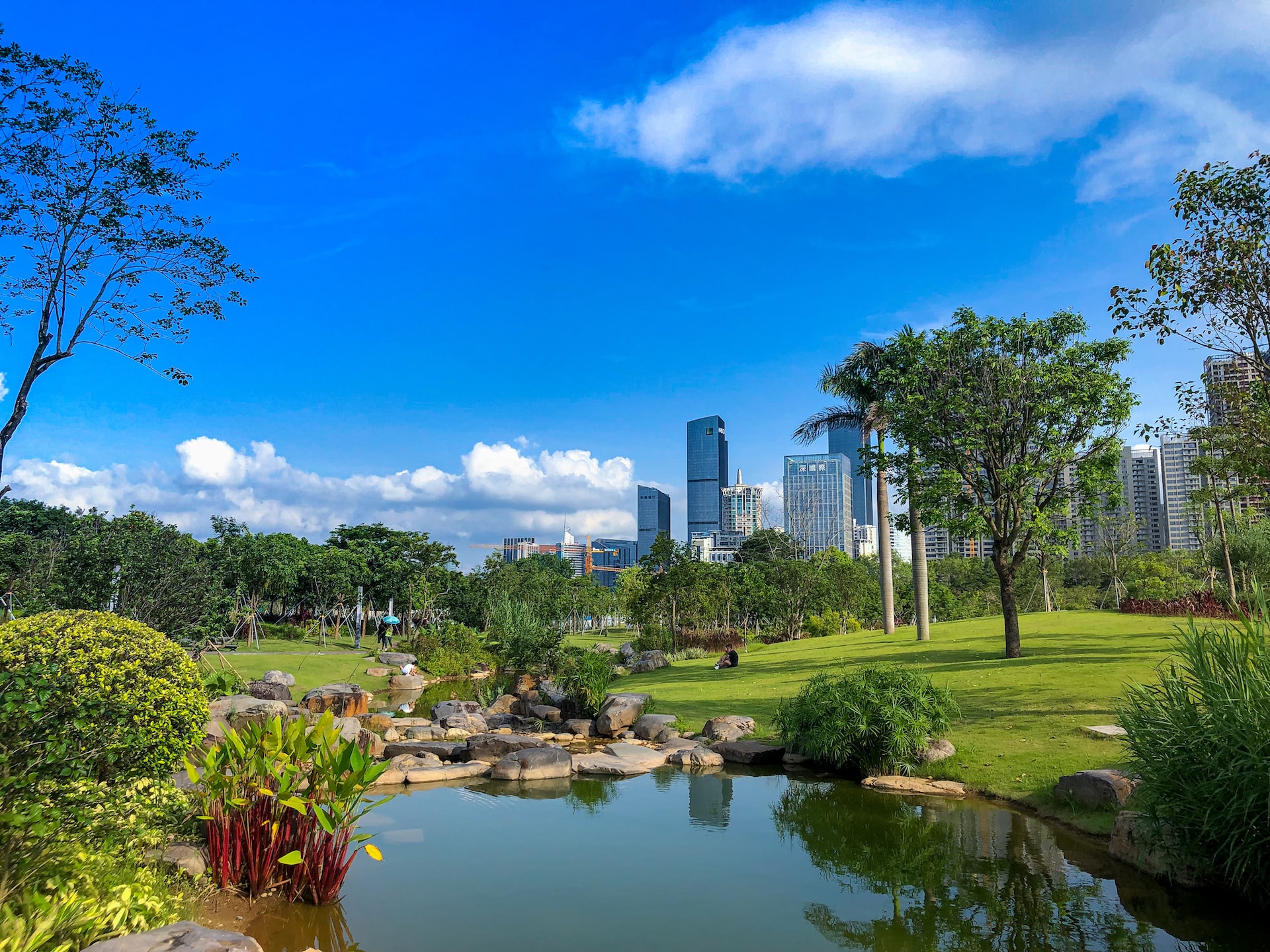 Park in Shenzhen / Zean Wu, Unsplash