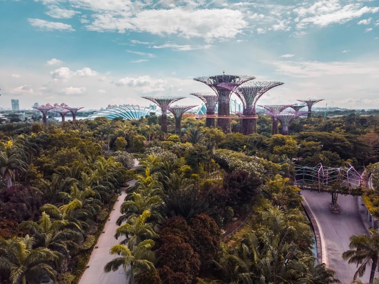 lush gardens in singapore