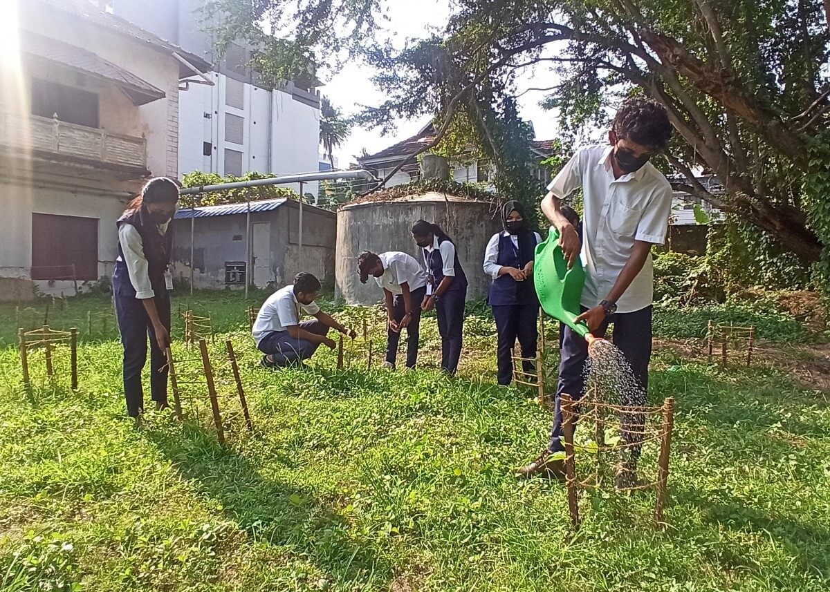 Students tend to a garden site in Kochi.