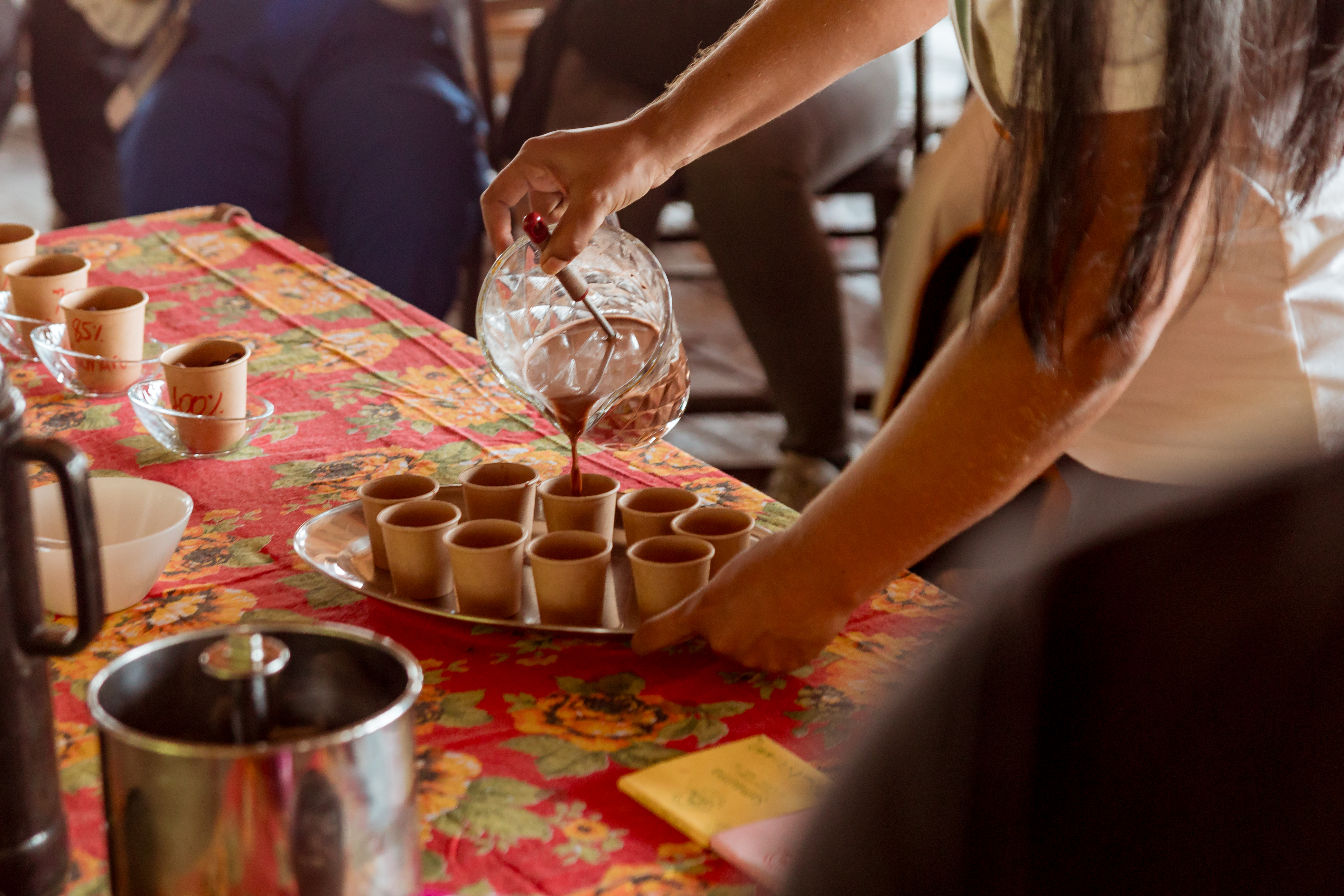 sustainably produced cacao on combu island