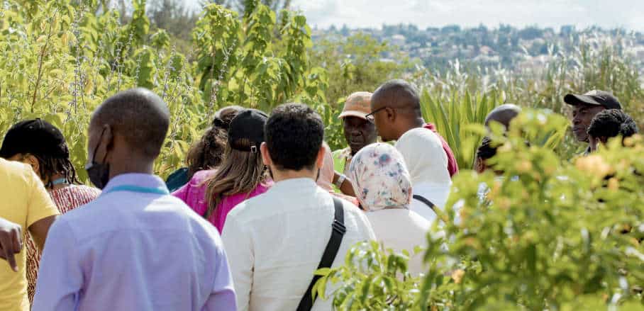 A group touring the Nyandungu wetland during the UrbanShift City Academy in Kigali in 2022
