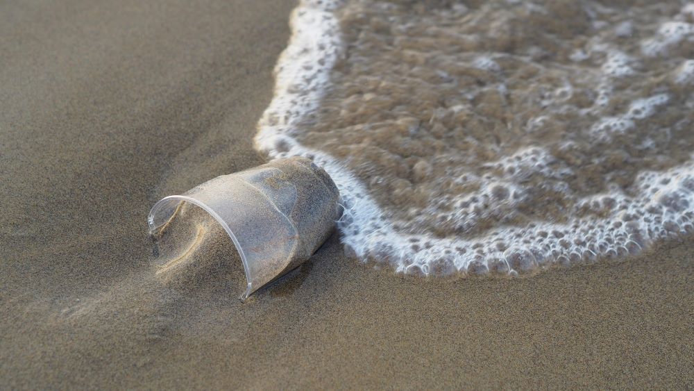 A single-use plastic cup ended up at a beach.