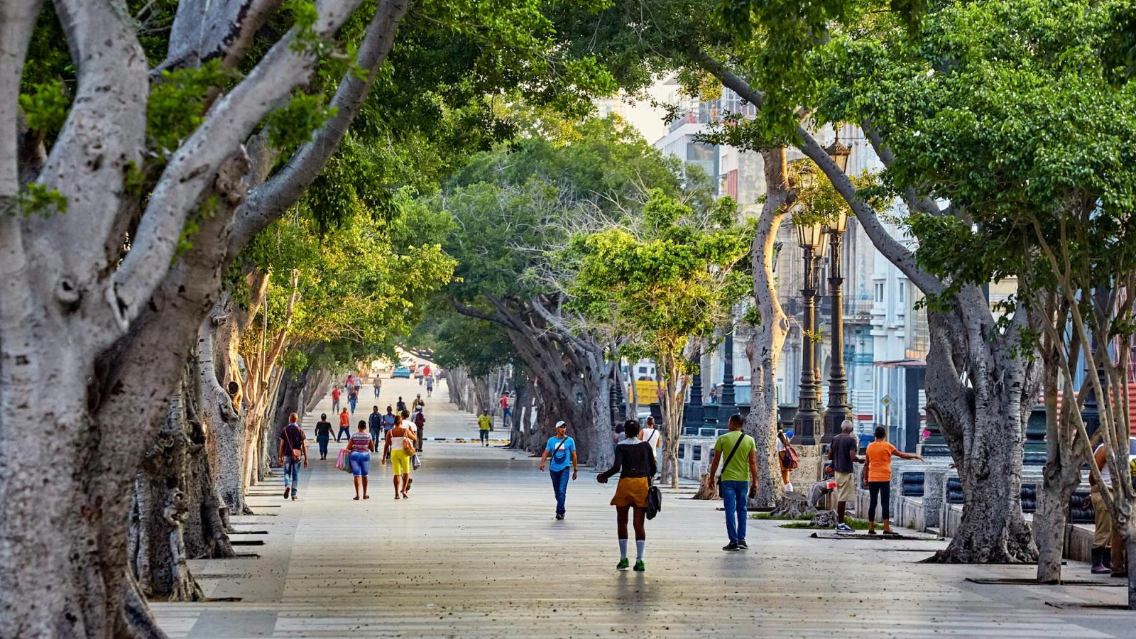 Image of people walking, trees around