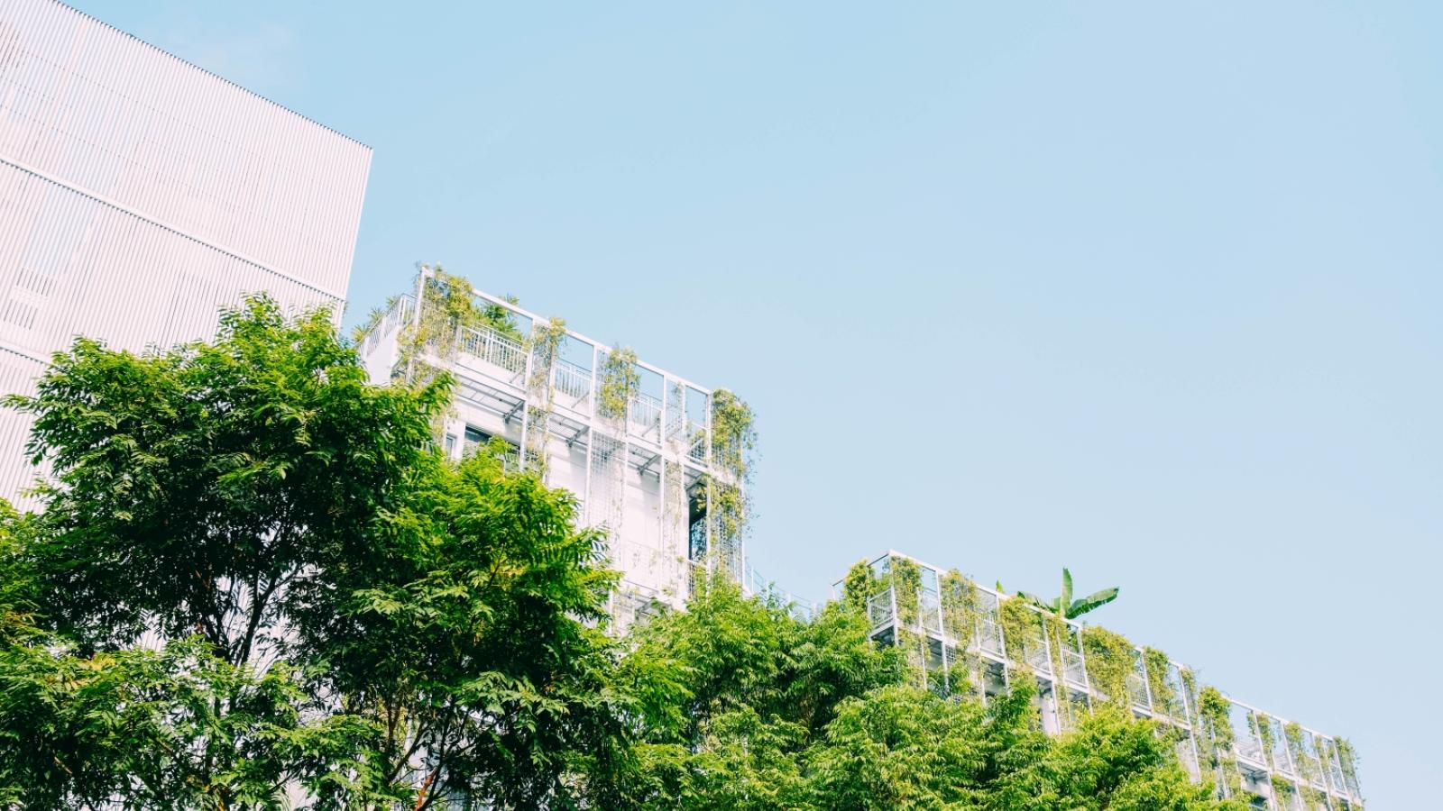 Green roof 