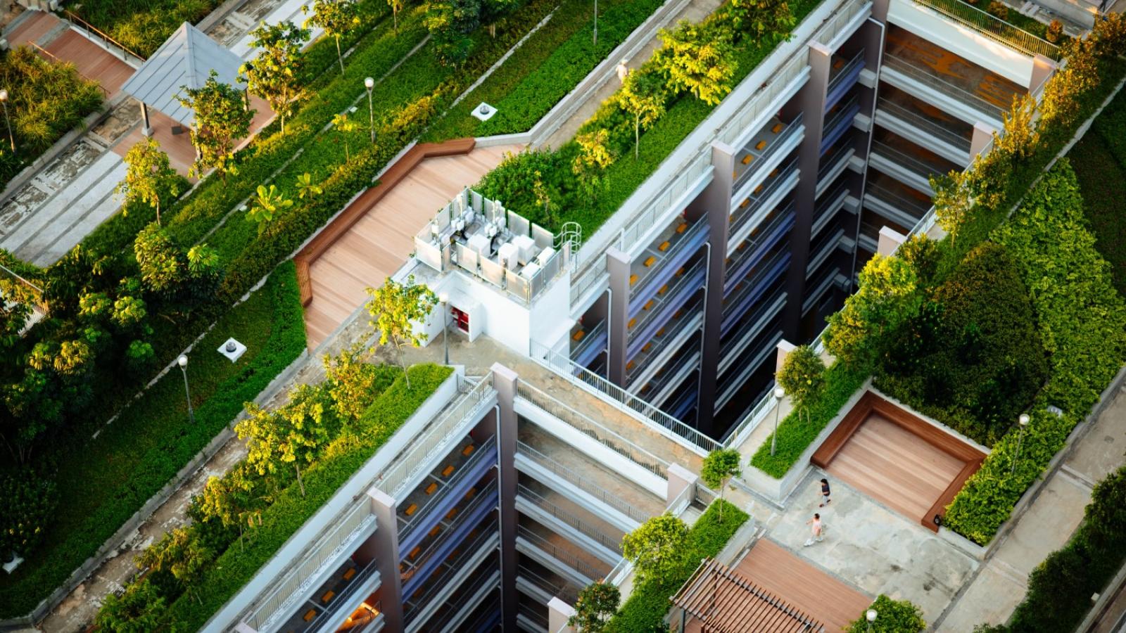 Green Roofs