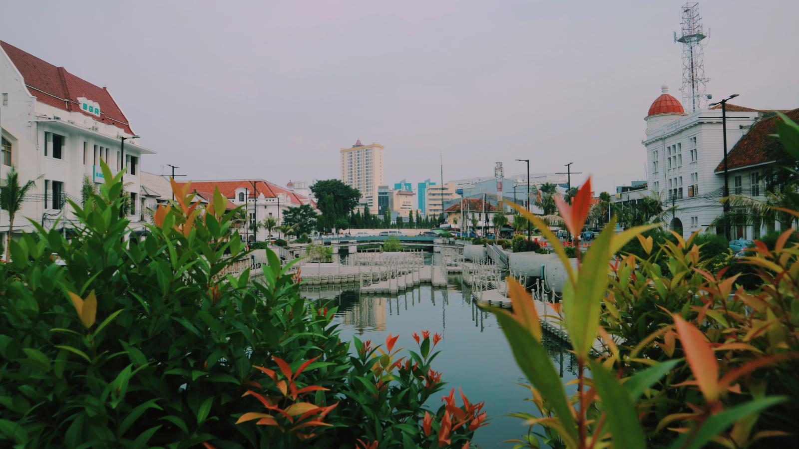 a photo of urban nature in indonesia