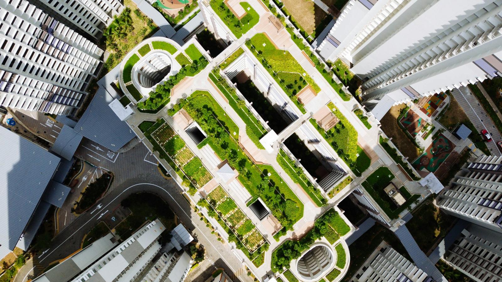 green rooftop