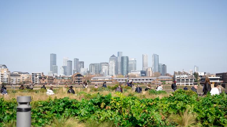 Cityscape from a rooftop garden