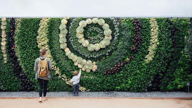 a green wall planted in a spiral shape
