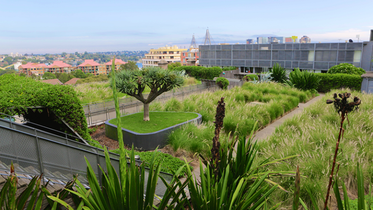 a green area in a city with a skyline in the background