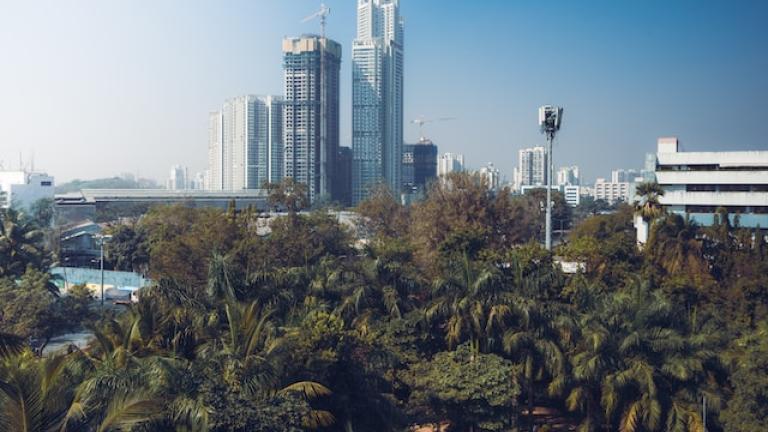 a view of a city skyline with greenery in the foreground