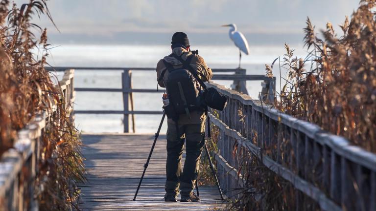 A man photographing a bird in front of a lake