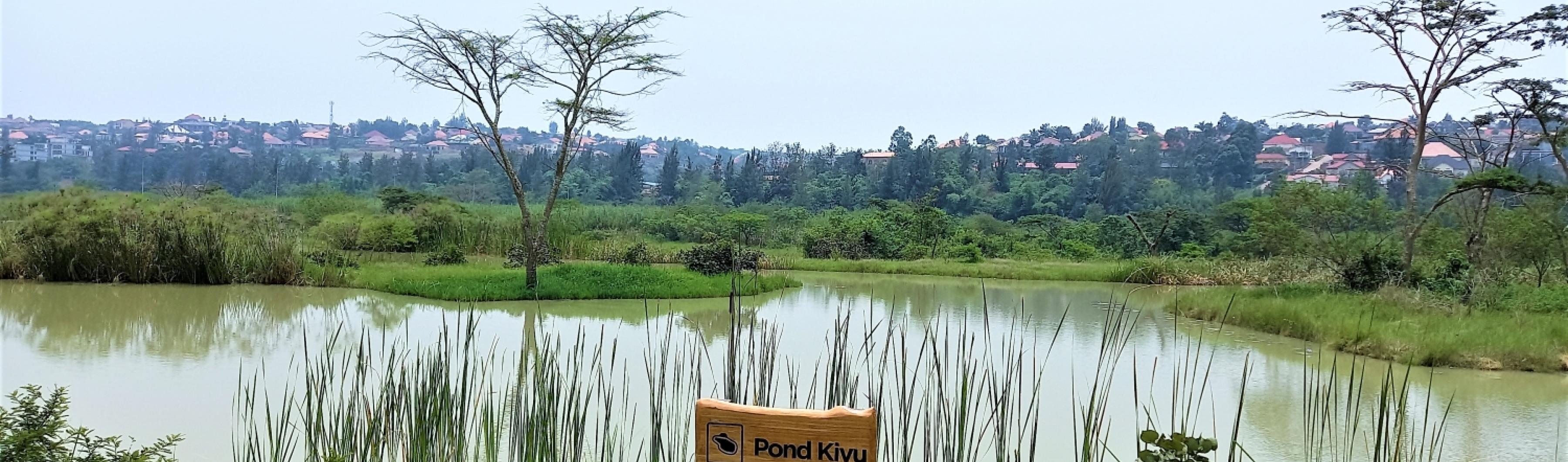 Kigali Nyandungu wetland rwanda