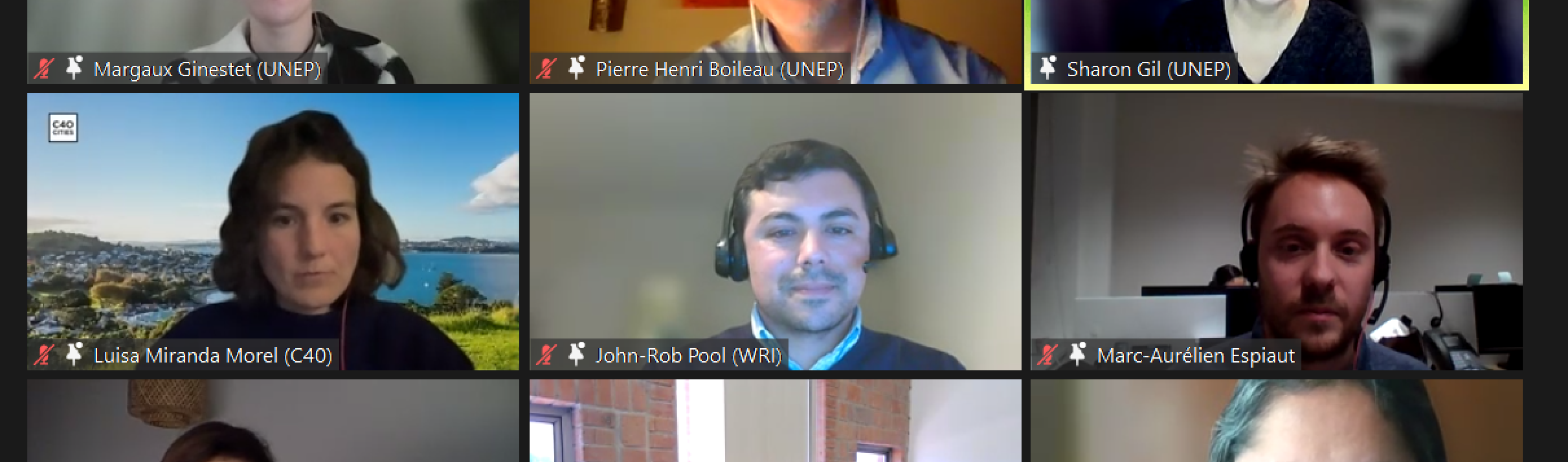 Panelists and organizers at the webinar