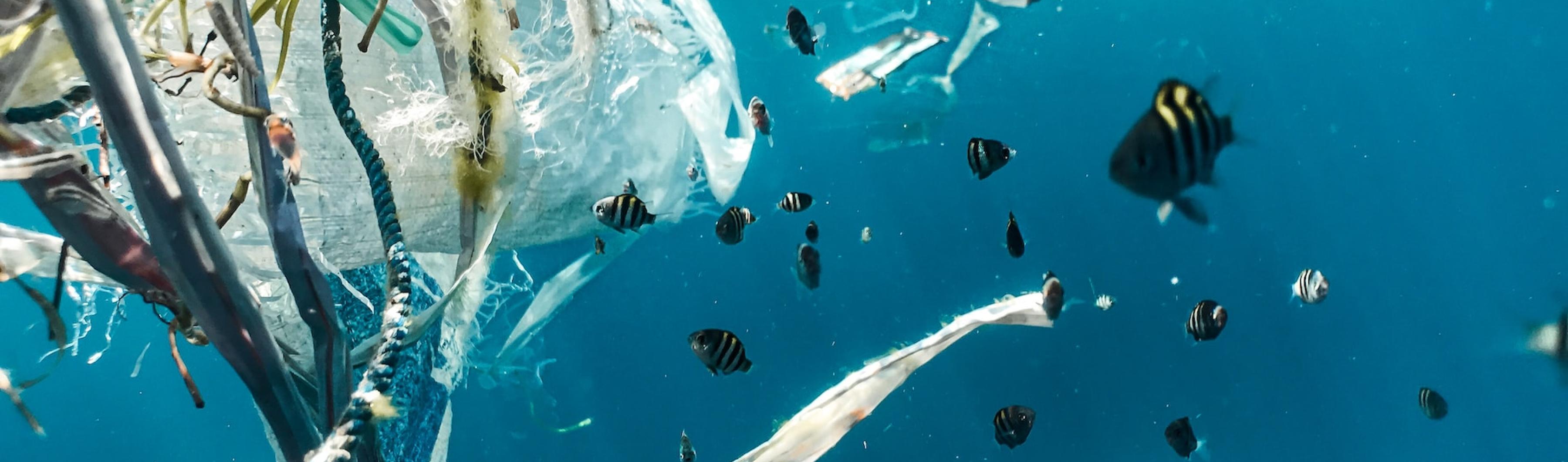 Fish in the ocean with plastic pollution