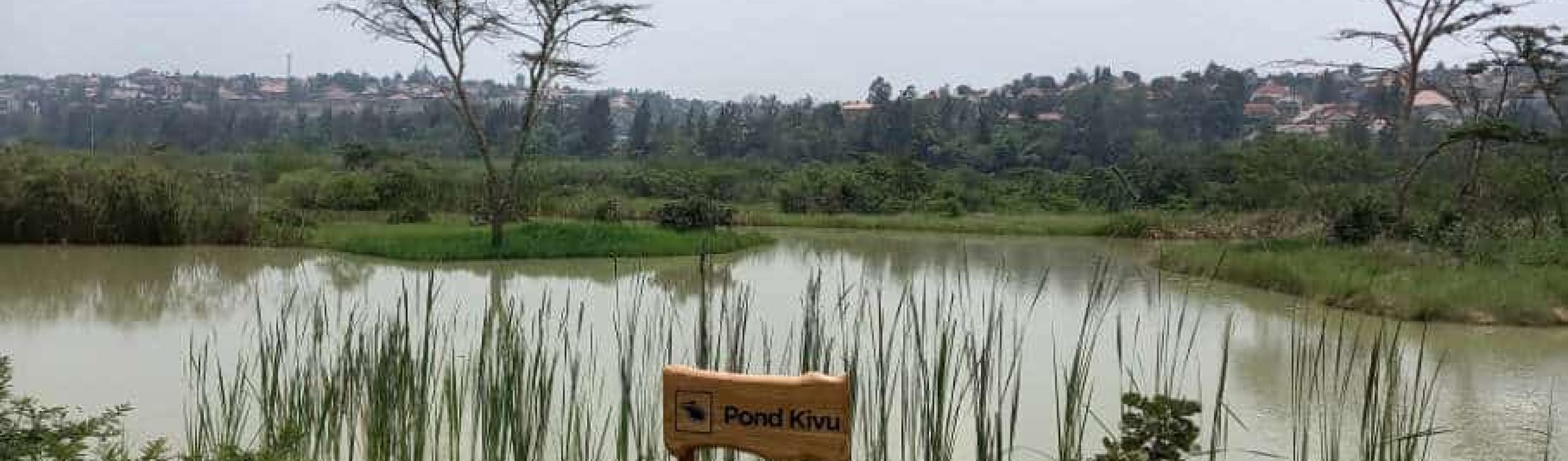 A pond in the restored Nyandungu wetland in Kigali