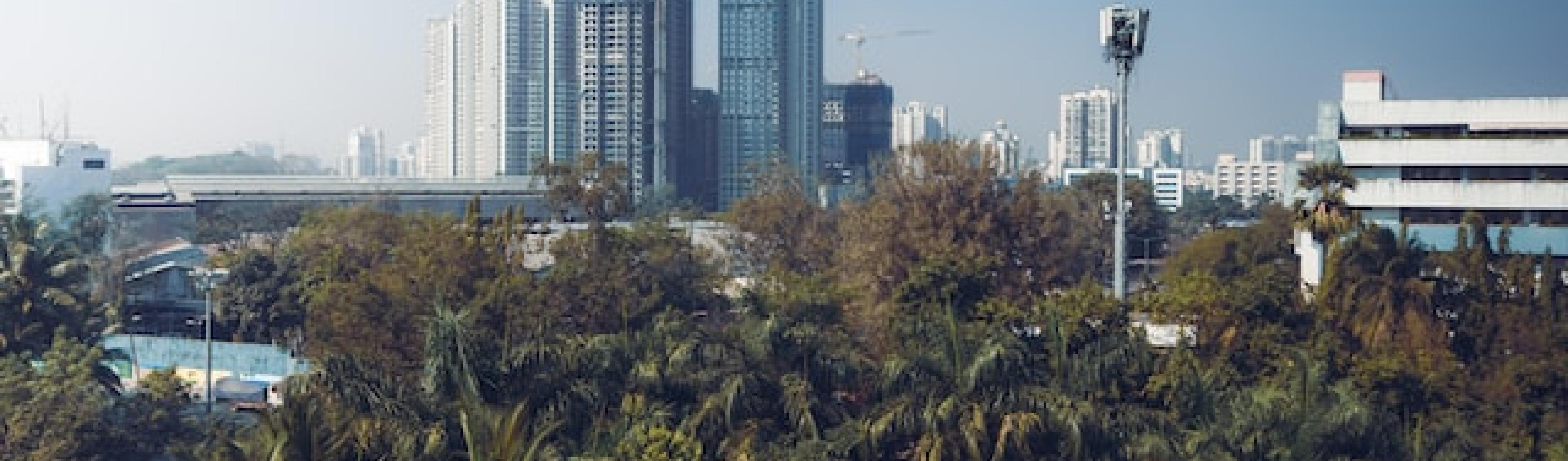 a view of a city skyline with greenery in the foreground