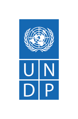 UNDP logo