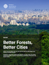 Report Cover - Better Forests, Better Cities