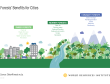 Forests' Benefits for Cities infographic