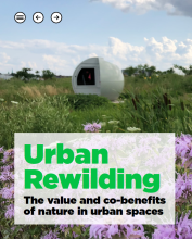The cover of a report titled Urban Rewilding: The value and co-benefits of nature in urban spaces. The background shows a field with green grass and purple flowers, and a spherical structure.