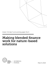 Making blended finance work for nature-based solutions 