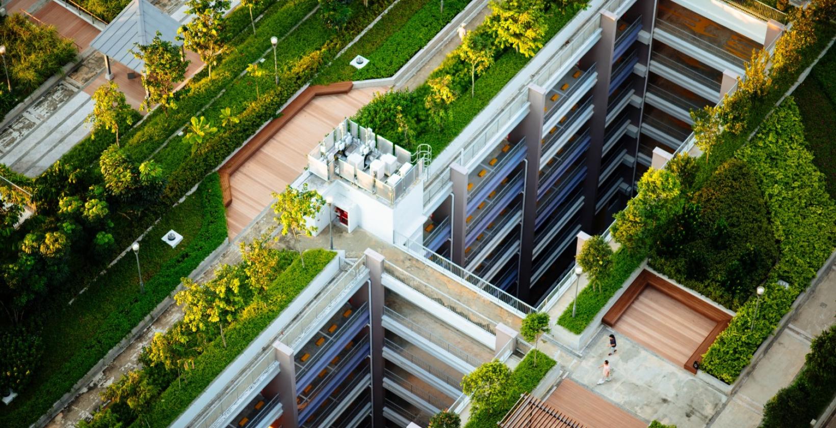 Green Roofs