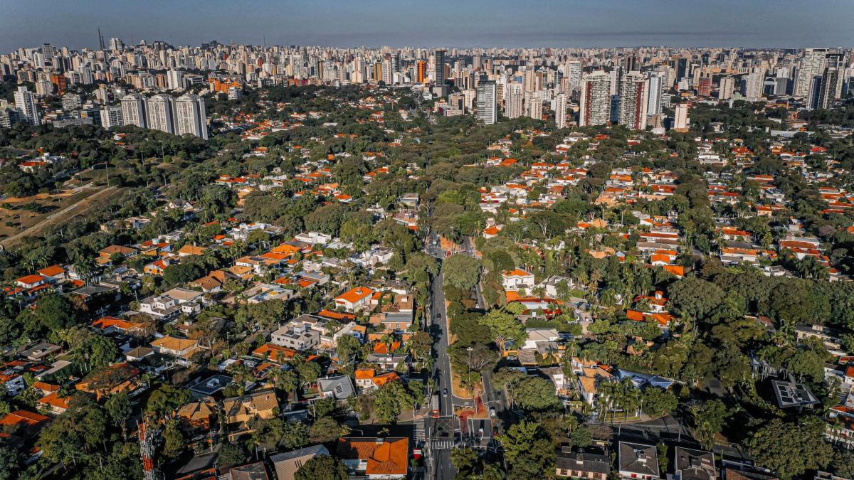 How Forests Near and Far Benefit People in Cities | UrbanShift